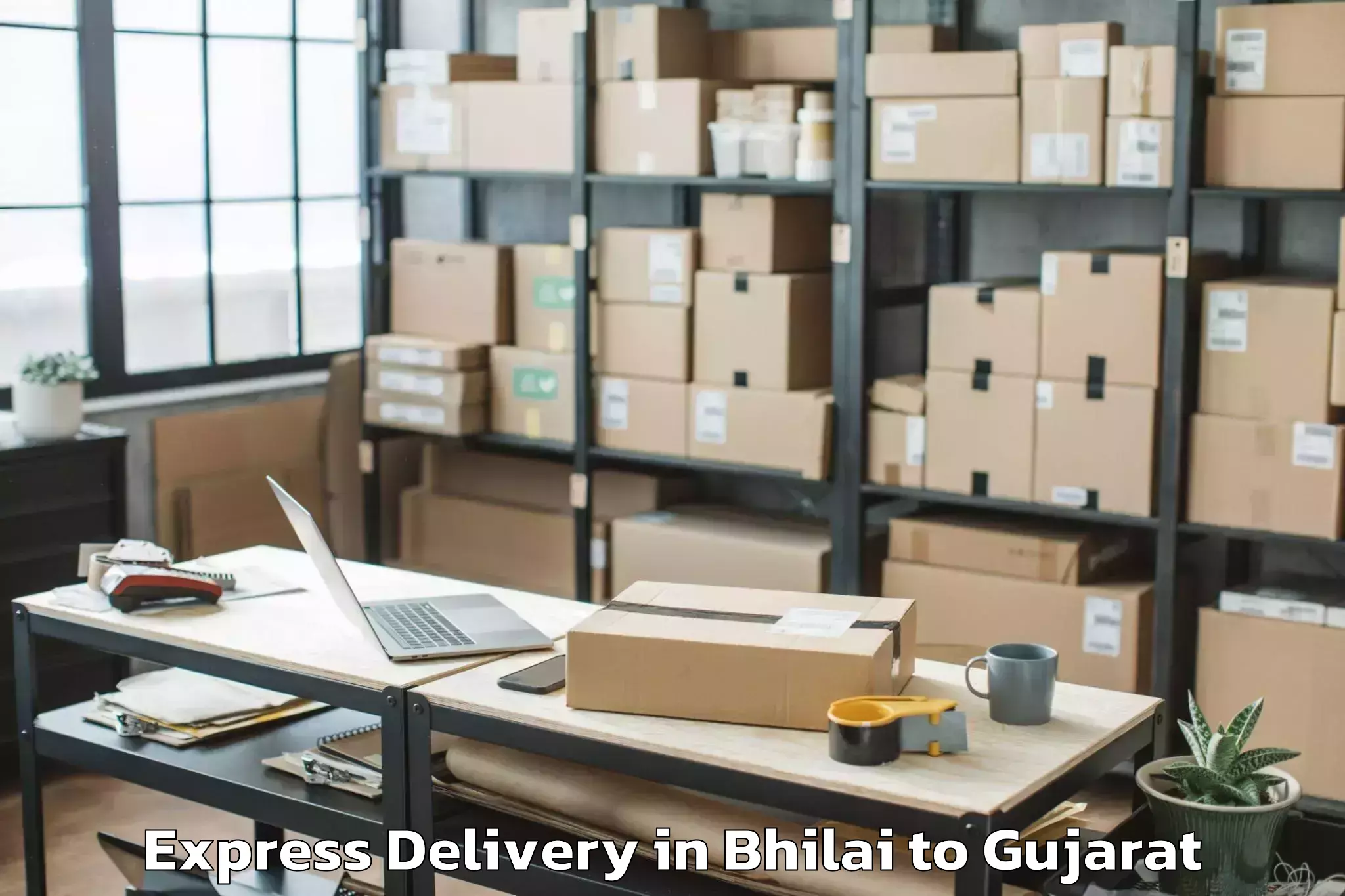 Book Bhilai to Pardi Express Delivery